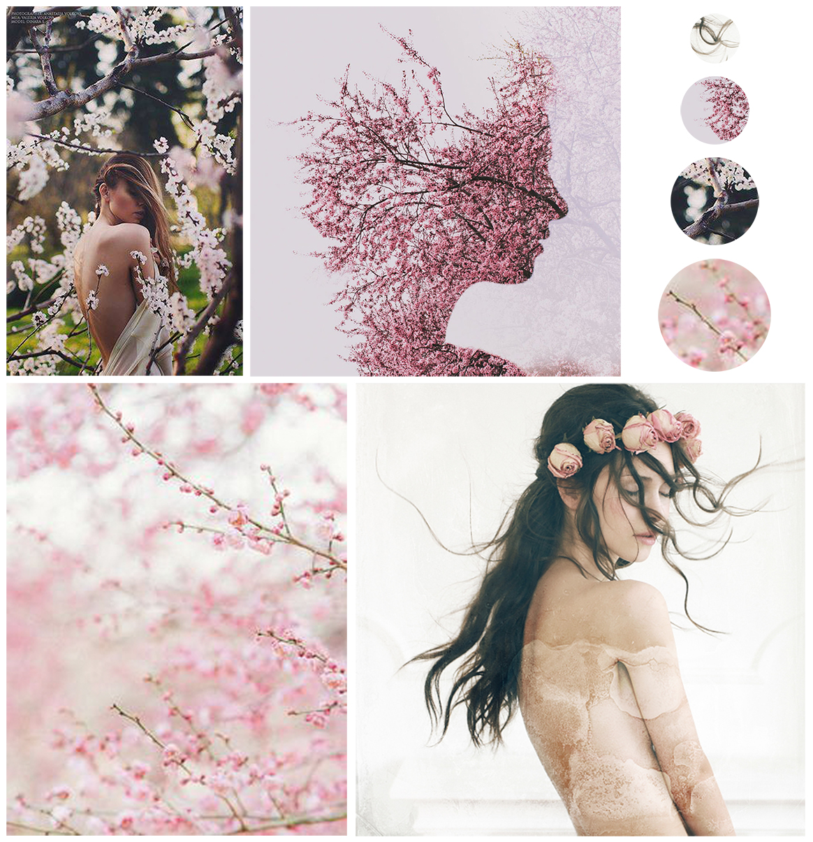 Moodboard | Flower blossom